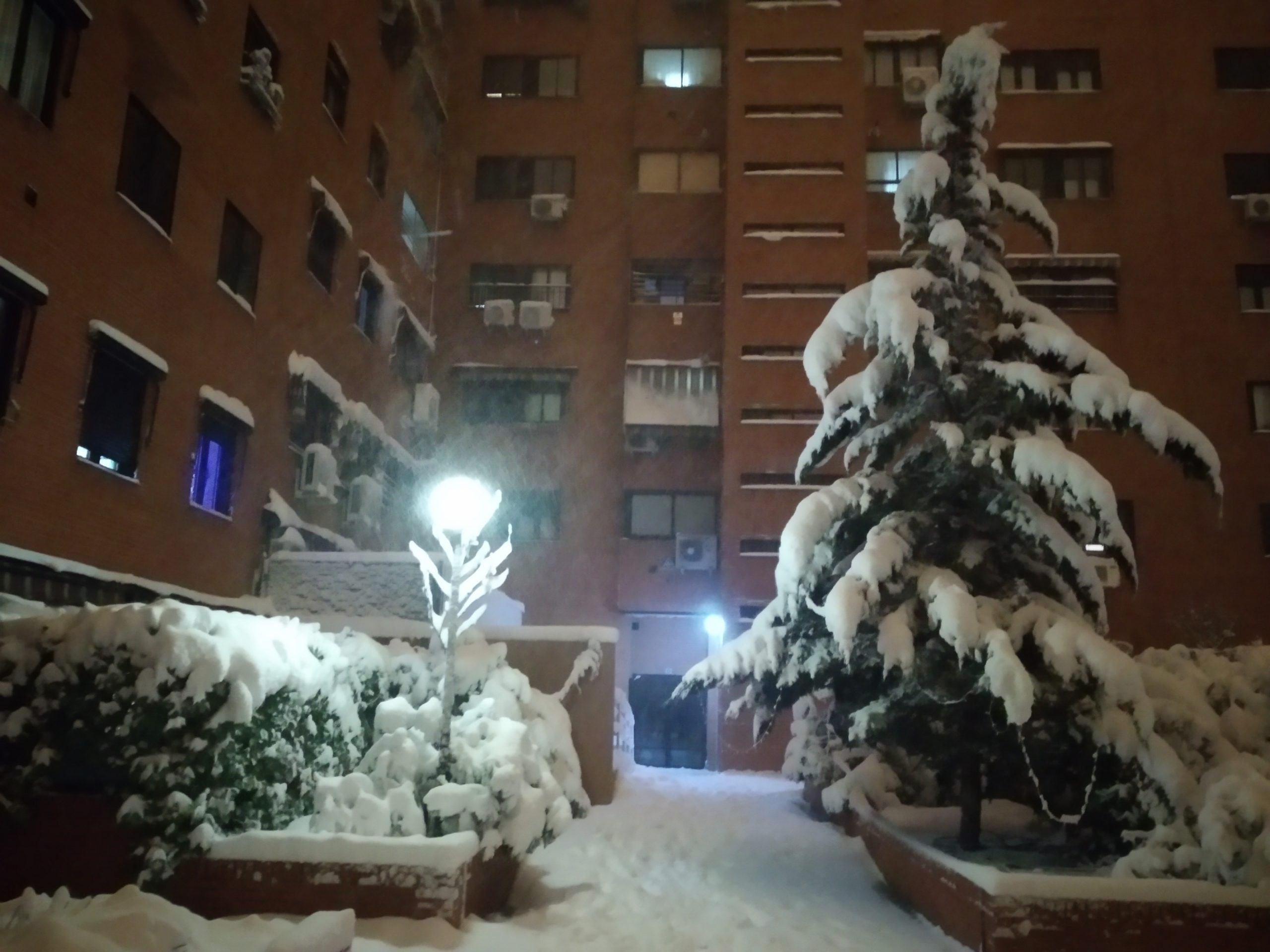 Filomena, la nevada de enero del 2021